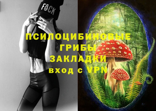 а пвп мука Алзамай